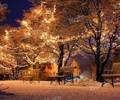 two park benches are covered in snow and lite up trees