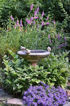 a bird bath surrounded by purple flowers and greenery