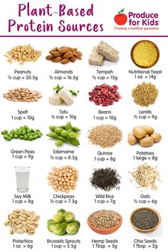 Plant Based Protein Recipes, Plant Based Protein Sources, Vegan Protein Sources, Plant Based Diet Recipes, Vegetarian Protein, Protein Intake, Resep Diet, Makanan Diet, Plant Based Nutrition