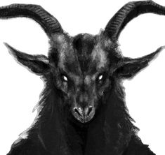 a black goat with large horns standing in front of a white background