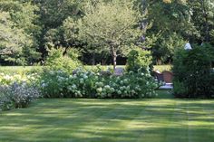 a lush green yard with lots of flowers and trees