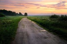 an empty dirt road with grass and trees in the background at sunset or sunrise time