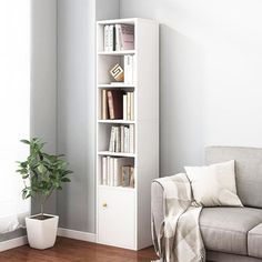 a living room with a couch, book shelf and potted plant on the floor