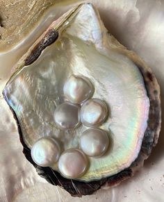 an open oyster shell with pearls on it