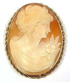 Vintage 14k Yellow Gold Large Carved Shell Cameo Combination Pin/Brooch and Pendant. It has a hidden bail that hinges open to all the cameo to be worn as a pendant.  It's in excellent condition.  It weighs 14.8 grams.  It measures 2 1/8 inches tall and 1 5/8 inches wide. The bail can accommodate up to a 4mm necklace.  Pv454Acz. Carved Shell, Pin Brooch, Hinges, Brooch Pin, Shells, Yellow Gold, Carving, Pendant, Yellow