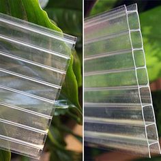 two pictures of plastic containers sitting on top of a green leafy plant next to each other