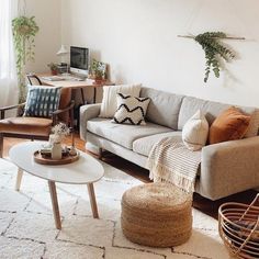 a living room filled with lots of furniture and plants on top of the walls in front of a window