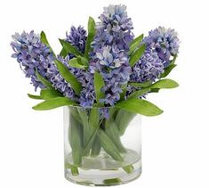 blue flowers are in a clear vase on a white background, with green leaves and stems