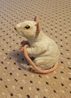 a small white rat sitting on top of a floor