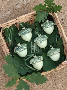 a basket filled with green acorns sitting on top of a leaf covered ground