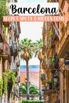 an alley way with palm trees and the words barcelona in spanish on top of it