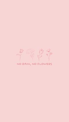 the words no rain, no flowers written in pink ink on a pale pink background