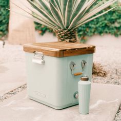 a cooler sitting on the ground next to a potted plant