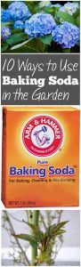 four pictures with blue flowers in them and the words, 10 ways to use baking soda in the garden