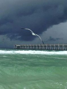 a seagull flying over the ocean with a pier in the background under a cloudy sky