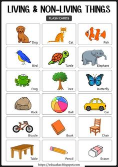 a poster with different types of animals and things to see in the picture, including an elephant