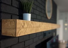 a potted plant sitting on top of a wooden shelf next to a fire place