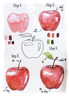 an apple drawing with step by step instructions on how to draw the apples in watercolor