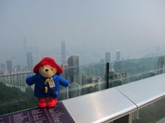 a teddy bear sitting on top of a building with a city view in the background