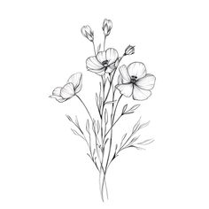 Botanical Wild Flower Wall Art. Download, print and frame this botanical sketch print. Minimalist wall decor.  The flower is drawn in black on a white background, in a minimalist style. It's a perfect design for various settings, such as a living room, bedroom, kitchen, dining room, office or any other home decor style.  *THIS IS A DIGITAL FILE DOWNLOAD - no physical items will be delivered.  *Your purchase will include JPG images files for instant download  in 300 dpi.  *Print this design at ho Black Line Flowers, Line Work Flowers, Botanical Flower Line Art, Black And White Prints Flower, Black And White Flower Line Art, Black And White Flower Poster, Botanical Illustration Black And White, Art Prints Minimalist, Line Art Prints