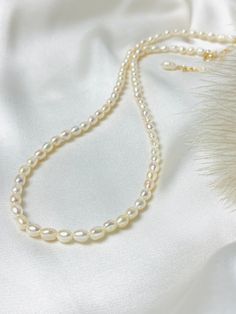 Elegant & minimalist: our pearl necklace is made of small rice grain-shaped freshwater cultured pearls, each individual pearl has its unique shape and a silky shimmer, which makes the piece of jewelry an interesting eye-catcher. Combine the pearl necklace with another gold necklace for the perfect layered look. The piece of jewelry will be shipped in an elegant jewelry box. PRODUCT INFO Pearls: Freshwater cultured pearl, rice-shaped approx. 4-5 x 5 mm, natural white Carabiner and extension chain Cream Pearl Drop Necklace Gift, Cream Pearl Drop Necklace As Gift, Cream Pearl Drop Necklace For Gift, Pearl Necklaces With Oval Beads For Gifts, Pearl White Oval Beads Pearl Necklace For Gift, Cream Pearl Necklace With Charm As A Gift, Oval Pearl Necklace Gift, Oval Single Strand Pearl Necklace As A Gift, Single Strand Oval Pearl Necklace For Gift