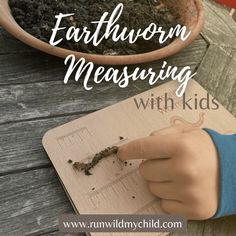 a hand pointing at an insect on top of a wooden table with text overlay that reads, earthworm measuring with kids