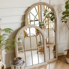 a mirror sitting on top of a wooden floor next to a potted plant