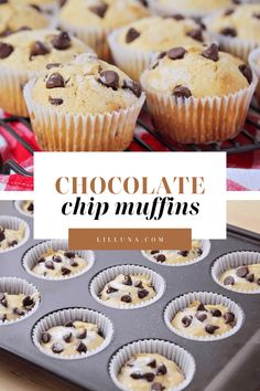 chocolate chip muffins are sitting on top of a baking pan with the words chocolate chip muffins above them