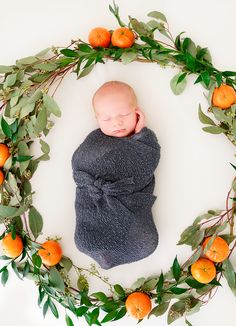 a newborn baby wrapped in a blanket surrounded by oranges and greenery on a white background