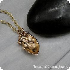 This Anatomical Heart Necklace comes on a gold-plated chain that is available in different lengths. Please choose your desired length from the drop-down menu when placing the item in your shopping cart. { CHARM DETAILS }★ Material: Bronze★ Finish Color: Bronze★ Measurements: 3/8" x 5/8"★ Dimensions: One-sided{ SIMILAR ITEMS } More heart themed items available from my shop: https://www.etsy.com/shop/treasuredcharms/search?search_query=human+heart{ GIFT OPTIONS}Gift boxes are available at no addit Anatomical Heart Necklace Gold, Human Heart Necklace, Anatomical Heart Necklace Silver, Gold Heart-shaped Brass Necklace, Bronze Heart-shaped Brass Necklace, Anatomical Heart Necklace, Antique Bronze Heart-shaped Necklaces, Human Heart, Heart Themed