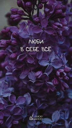 purple flowers with the words russian on them