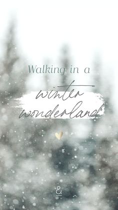 the words walking in a winter wonderland are shown