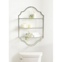 a white toilet sitting next to a wall mounted shelf with plants on top of it