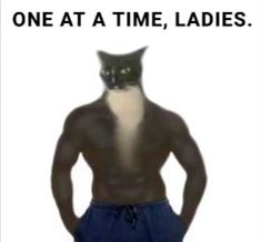 a black and white cat standing in front of a man's body with the caption one at a time, ladies