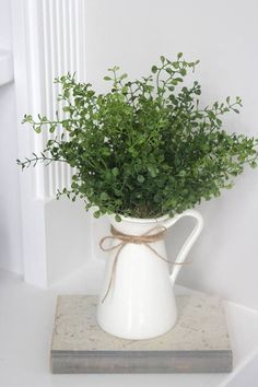 a white pitcher filled with green plants on top of a table