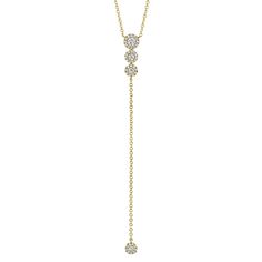 When you're adding an elegant touch to your everyday look, this stunning 14K Yellow Gold Diamond Lariat Necklace features precious 14K yellow gold alongside .29 carats of diamonds and adds delicate refinement for a lasting impression. Diamond Lariat Necklace, Gold Lariat Necklace, Circle Diamond, Authentic Jewelry, Diamond Drops, Rose Gold Diamonds, Lariat Necklace, Diamond Halo, Brilliant Diamond