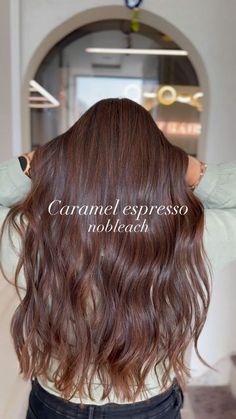 Brown Sugar Hair Color, Brown Sugar Brunette, Hazelnut Brown Hair, Morena Hair Color Ideas, Hazelnut Hair Color, Brown Sugar Hair, Hazelnut Hair, Hair Color For Morena