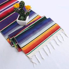 a cactus sits on top of a colorful mexican blanket