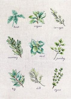 cross stitch pattern with different types of leaves and herbs on white linen, showing the names of each plant