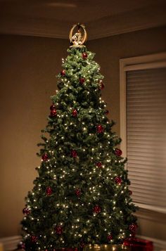 a lit christmas tree in a living room