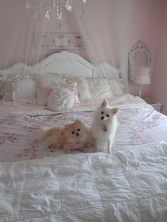 two small dogs sitting on a bed in a room with pink walls and white bedspreads