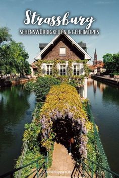 the house is surrounded by flowers and greenery on the water's edge, with stairs leading up to it