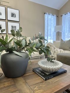 a living room with a couch, coffee table and potted plant on top of it