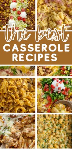 the best casserole recipes for any type of meal, including pasta and vegetables