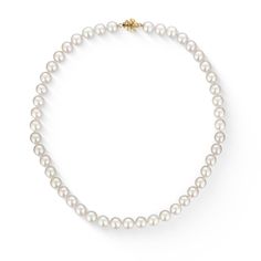 773539 - 14K Yellow Gold - White Akoya Pearl Choker Necklace Classic Necklace With Gold Clasp For Gift, Classic Gold Clasp Necklace For Gift, Timeless Yellow Gold Necklace With Gold Clasp, Classic Necklaces With Gold Clasp For Gifts, 16 Inch Round Elegant Pearl Necklace, Elegant 16 Inch Round Pearl Necklace, Elegant Formal Pearl Necklace 16 Inch, Elegant 16 Inch Pearl Necklace For Formal Occasions, Classic Akoya Pearl Single Strand Necklace