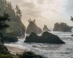 an ocean view with rocks and trees in the foreground on a foggy day