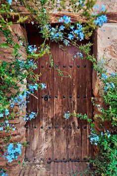 an old wooden door surrounded by blue flowers