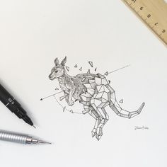 a drawing of a kangaroo on paper next to a pen and ruler, with the caption art - help kerbyrosanes