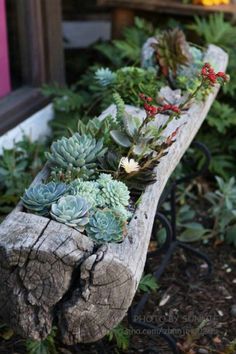 an old wooden bench with succulents and plants on it's sides