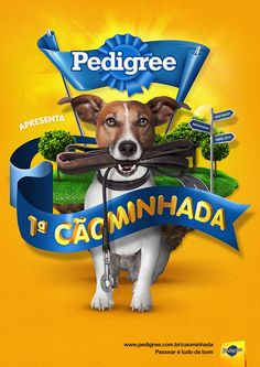 a dog with a leash around its neck and the words pedigree on it